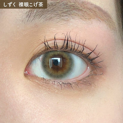【預購】Eye Closet Shizuku 1 Day 十片裝