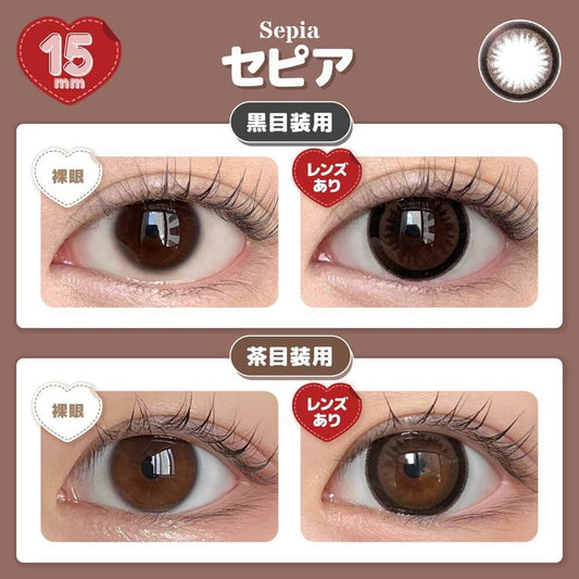 【預購】Honey Drops Sepia 1 Day 十片裝
