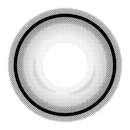 【預購】Eye Closet Holo Gray 1 Day 十片裝