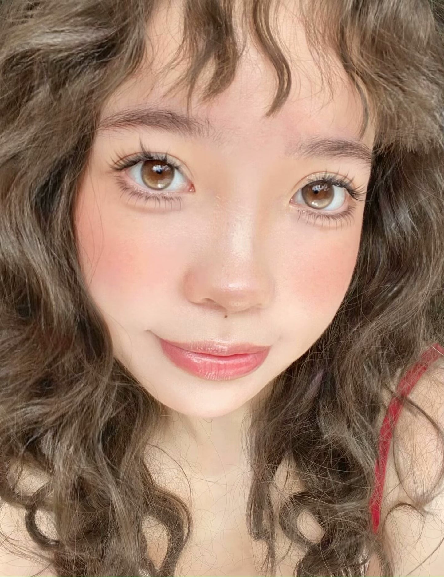 Ginomii Gold Brown 金魚泡芙 6-Months 一片裝