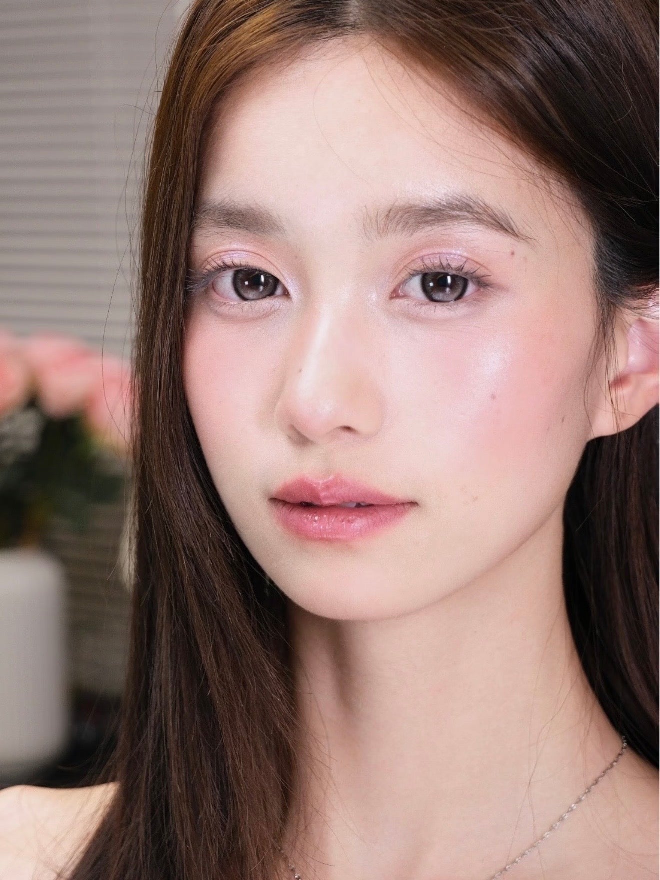 【固定高光】Bollycon Light Sugar 三分糖 1 Day 十片裝
