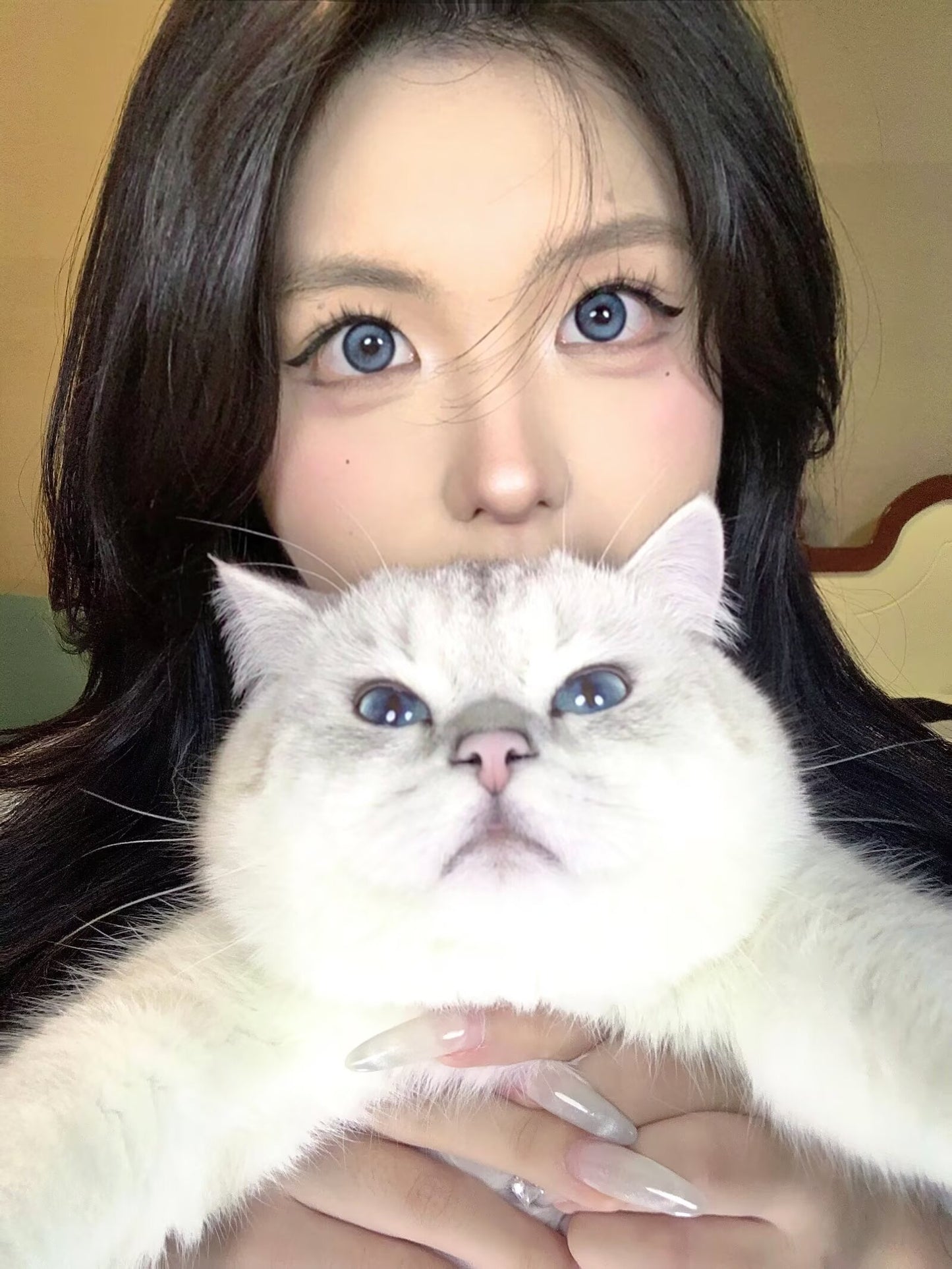 Allecon Ice Crystal Blue 冰晶藍 6-Months 一片裝