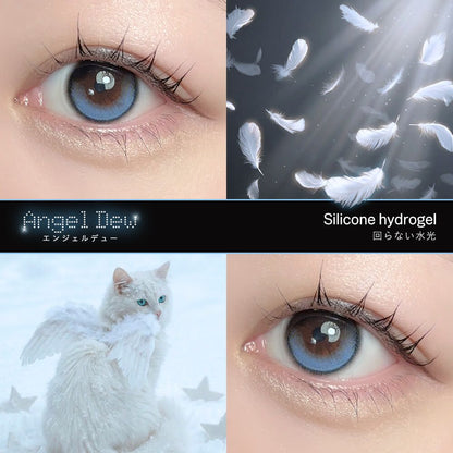 【預購】【固定高光】Dewlit Angel Dew 1 Day 十片裝