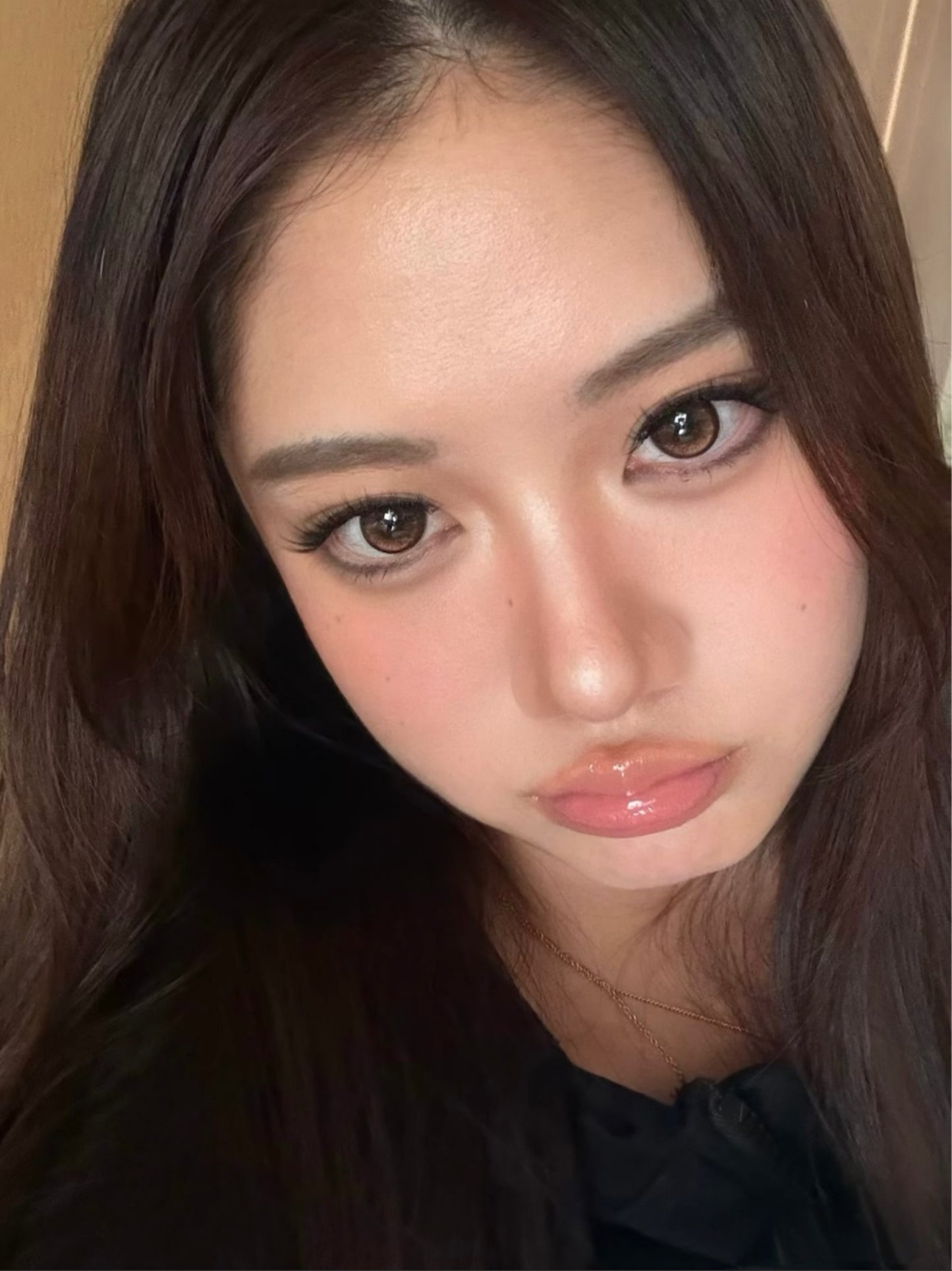 【固定高光】Liliyacon 陽光脈絡 1 Day 十片裝