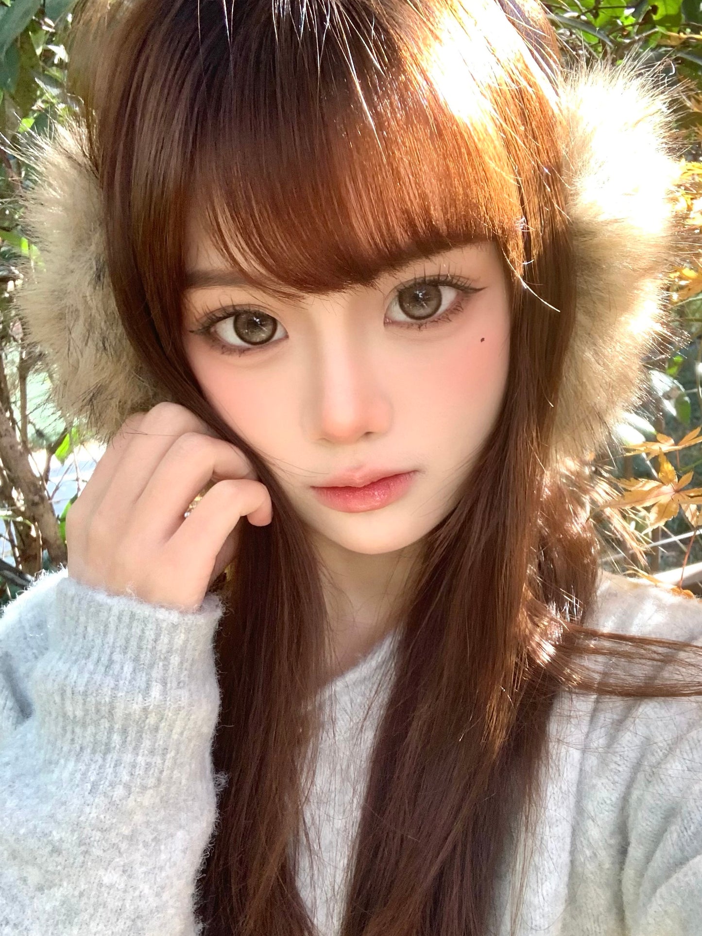 Doragina Toki Choco 曲奇主義 1 Year 一片裝