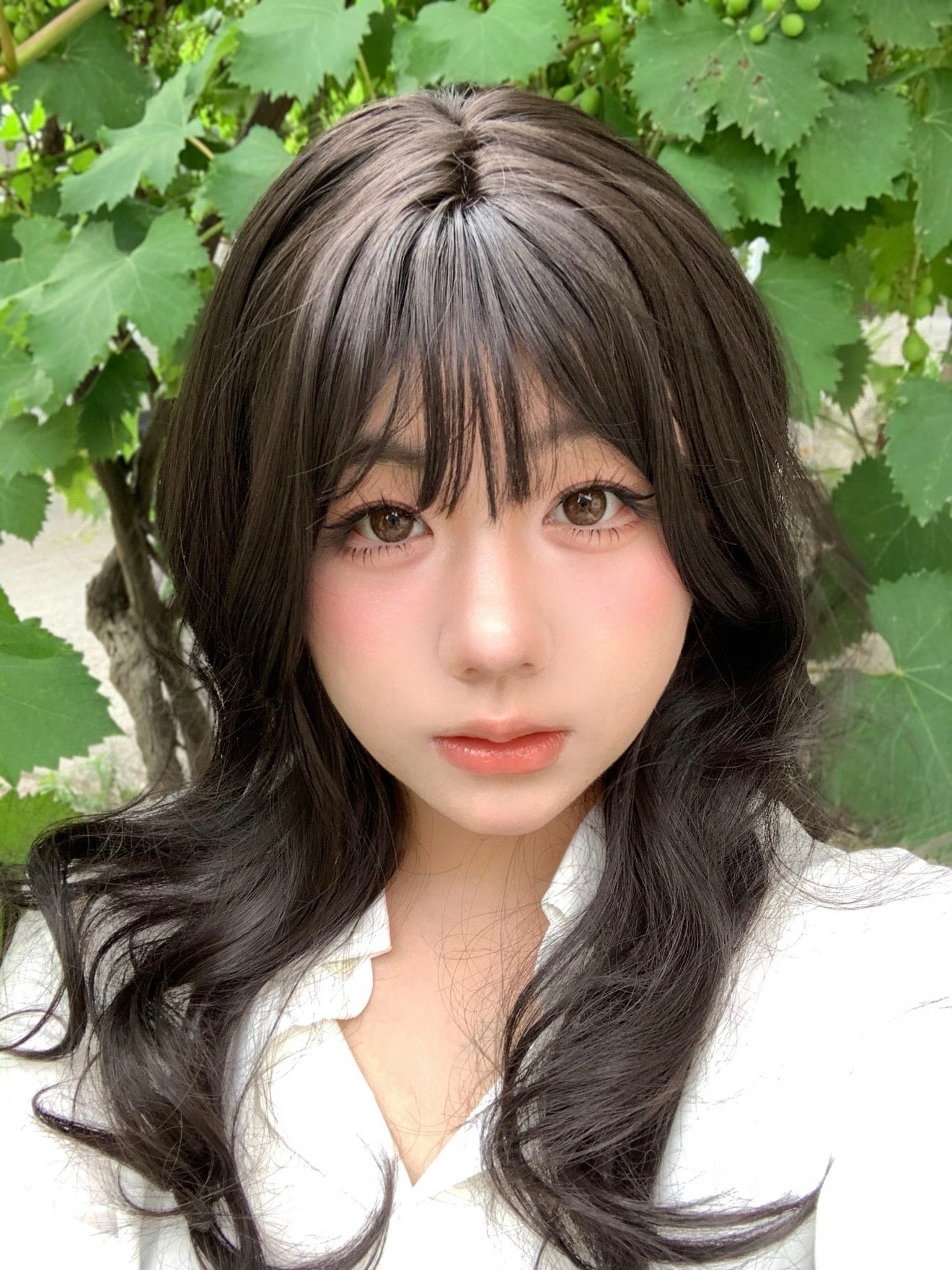 FullyGift Sorbet Choco 養分熱島 6-Months 一片裝