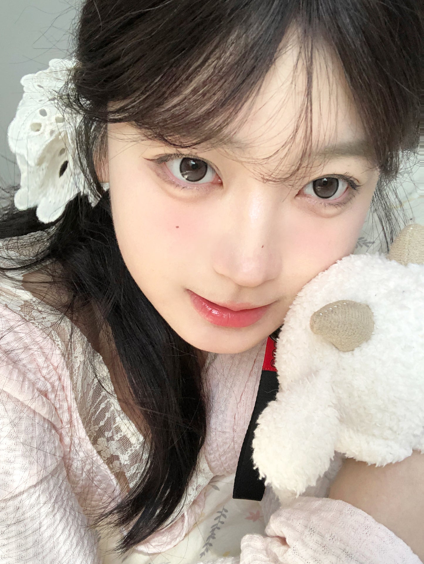 Doragina Nuts Brown 小栗泥 1 Day 十片裝