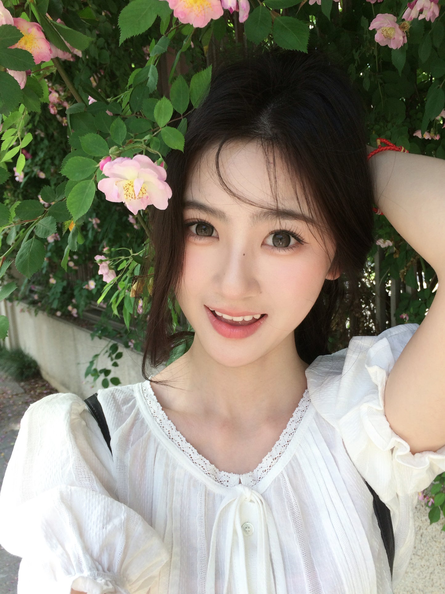 Kirafairy Oxe Brown 黑醋皮蛋 6-Months 一片裝