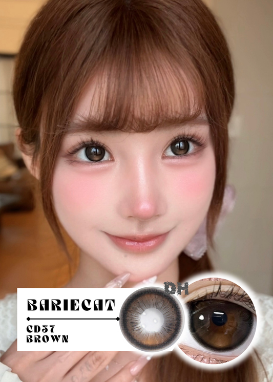 Bariecat CD37 Brown 和光甜橙 1 Day 十片裝