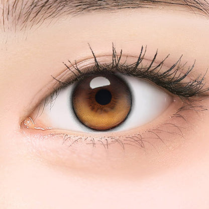 【預購】【固定高光】I-GIRL Onepick Balance Golden Hour 1 Day 十片裝