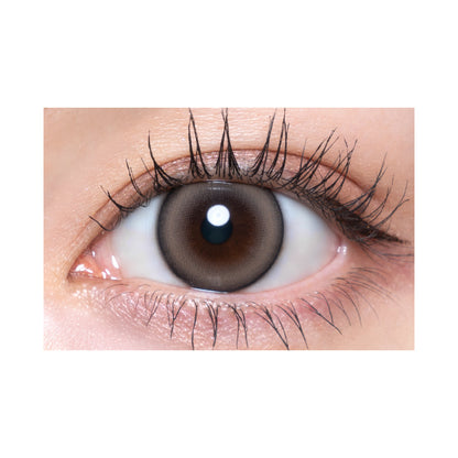 【預購】Quprie Chipie Beige 1 Day 十片裝