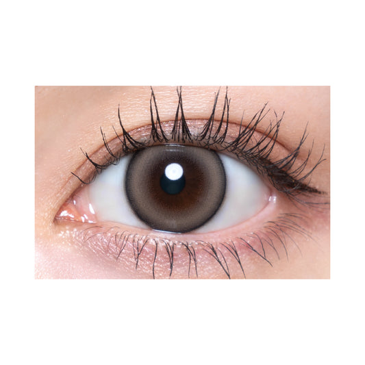 【預購】Quprie Chipie Beige 1 Day 十片裝