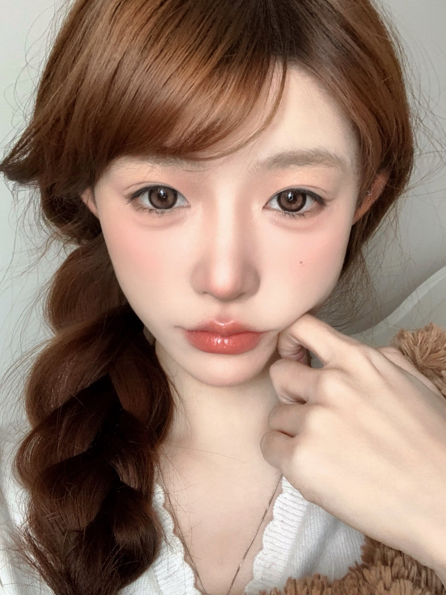 Bollycon B08 Brown 怪味生巧 6-Months 一片裝