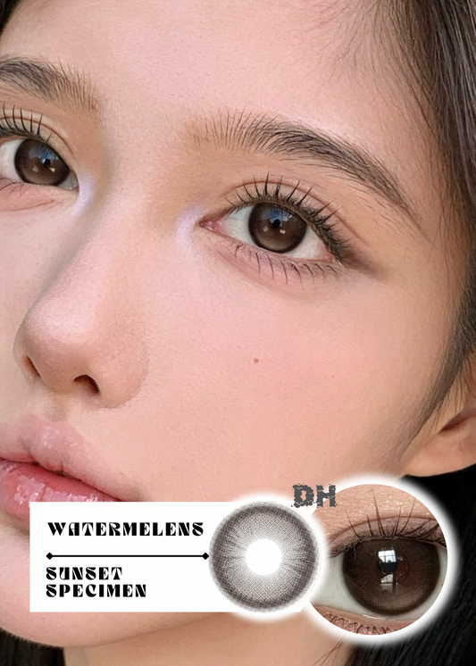 Watermelens Sunset Specimen 落日標本 6-Months 一片裝