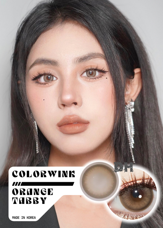 Colorwink Orange Tabby 大橘 6-Months 一片裝