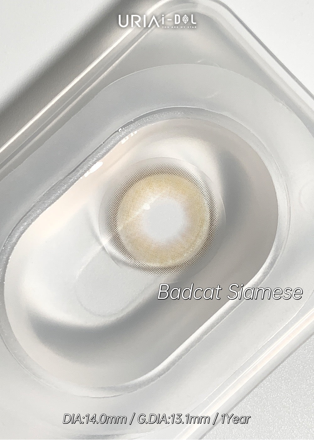 Uria I-dol BARCAT Siamese Beige 暹羅棕 1 Year 一片裝