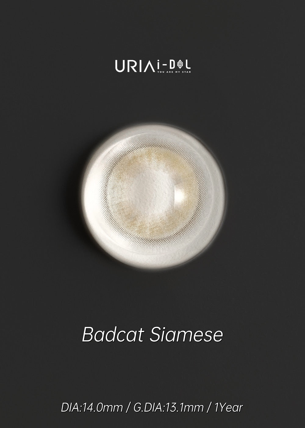 Uria I-dol BARCAT Siamese Beige 暹羅棕 1 Year 一片裝