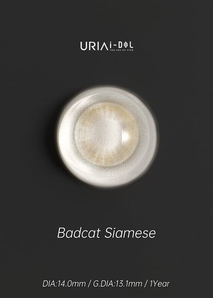 Uria I-dol BARCAT Siamese Beige 暹羅棕 1 Year 一片裝