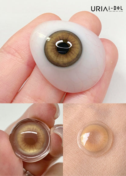 Uria I-dol BARCAT Siamese Beige 暹羅棕 1 Year 一片裝