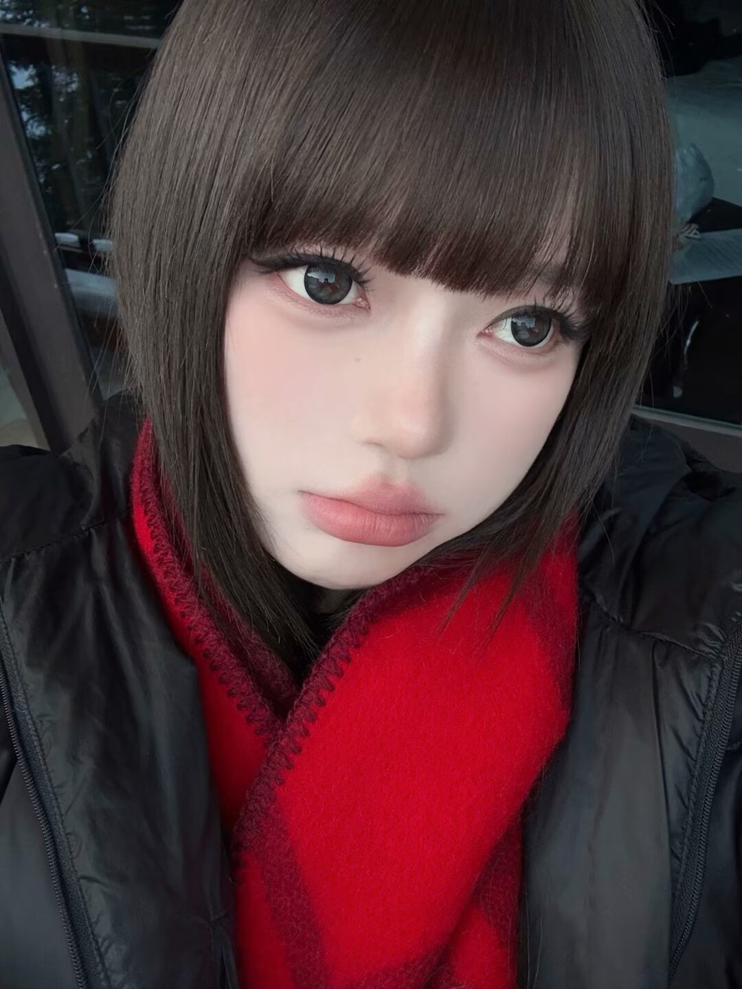 Aromi Obvious Gray 貼貼比熊 6-Months 一片裝