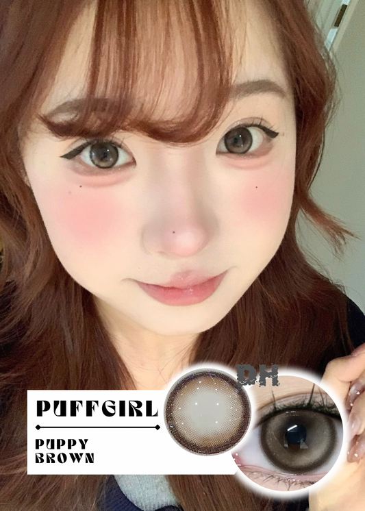 Puffgirl Puppy Brown 軟萌泰迪 1 Day 十片裝