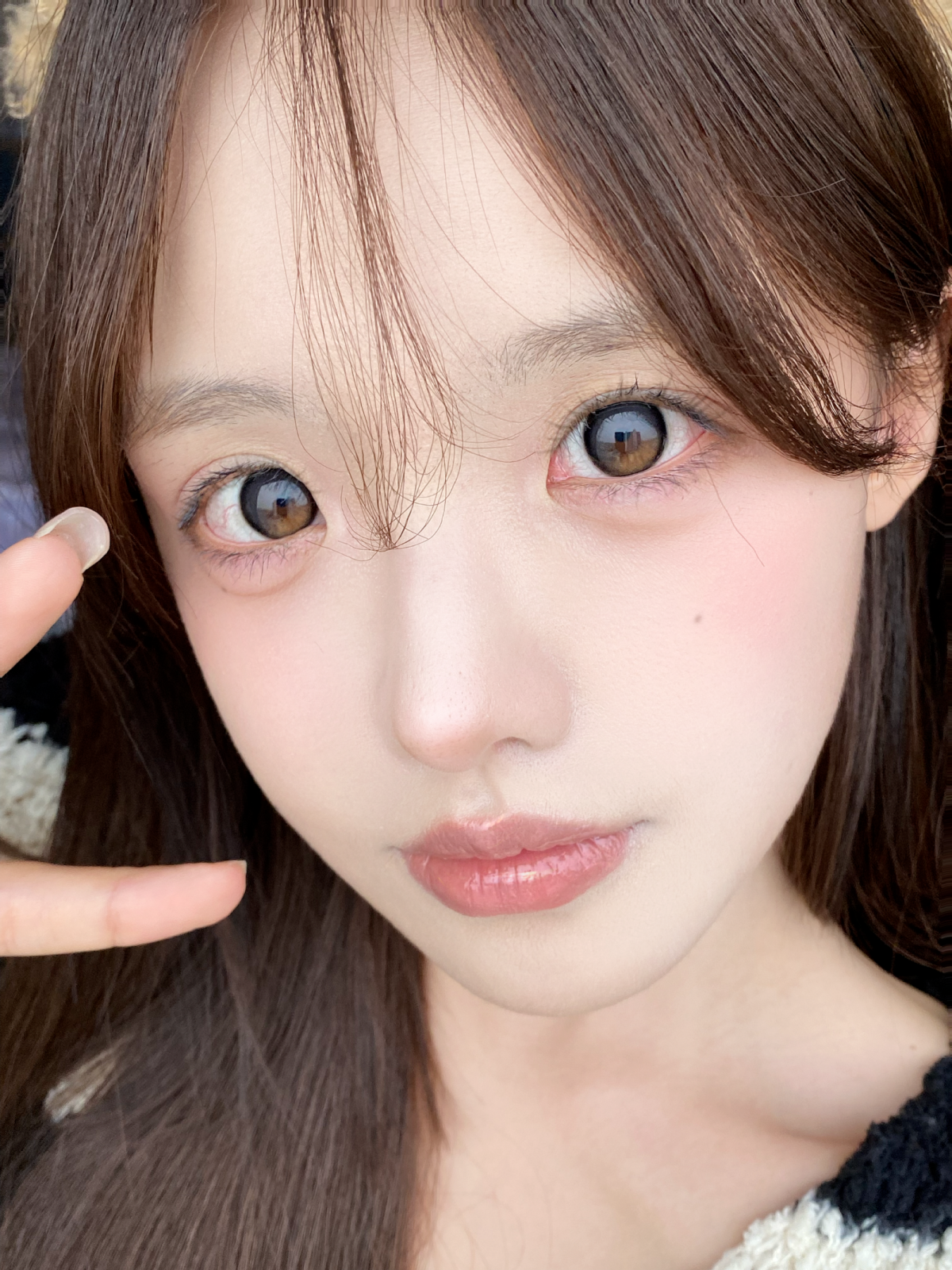 Bariecat Little Kumquat 小金桔 1 Day 十片裝