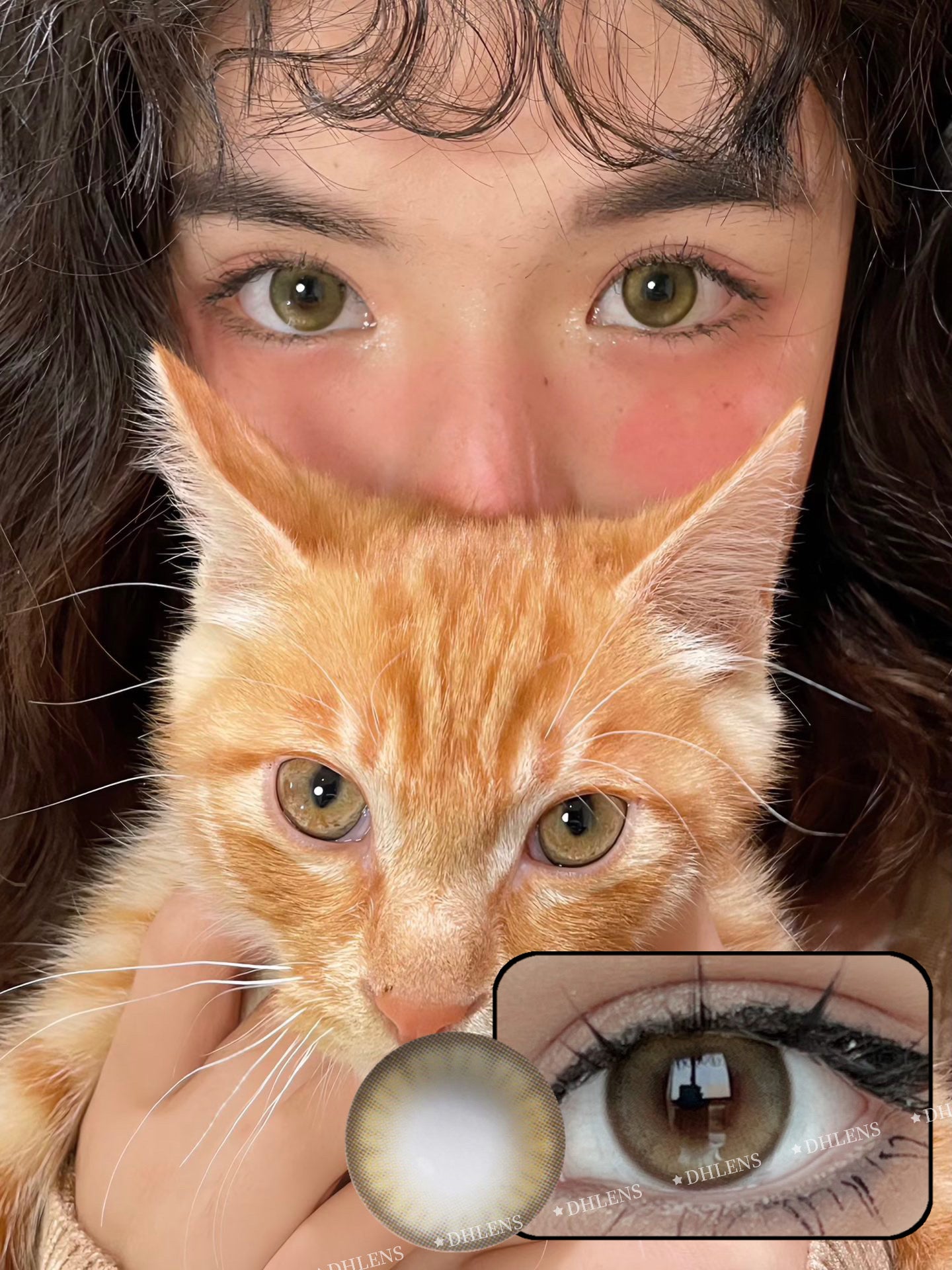 Papadox Starlight Citrus 星光柑橘