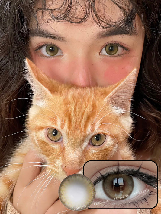 Papadox Starlight Citrus 星光柑橘