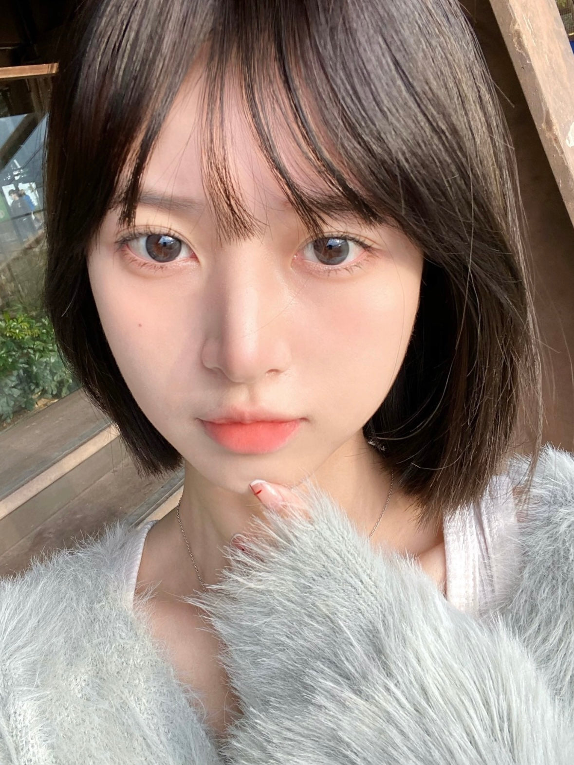 Pinkpuff Grey Bean 灰豆豆 1 Year 一片裝