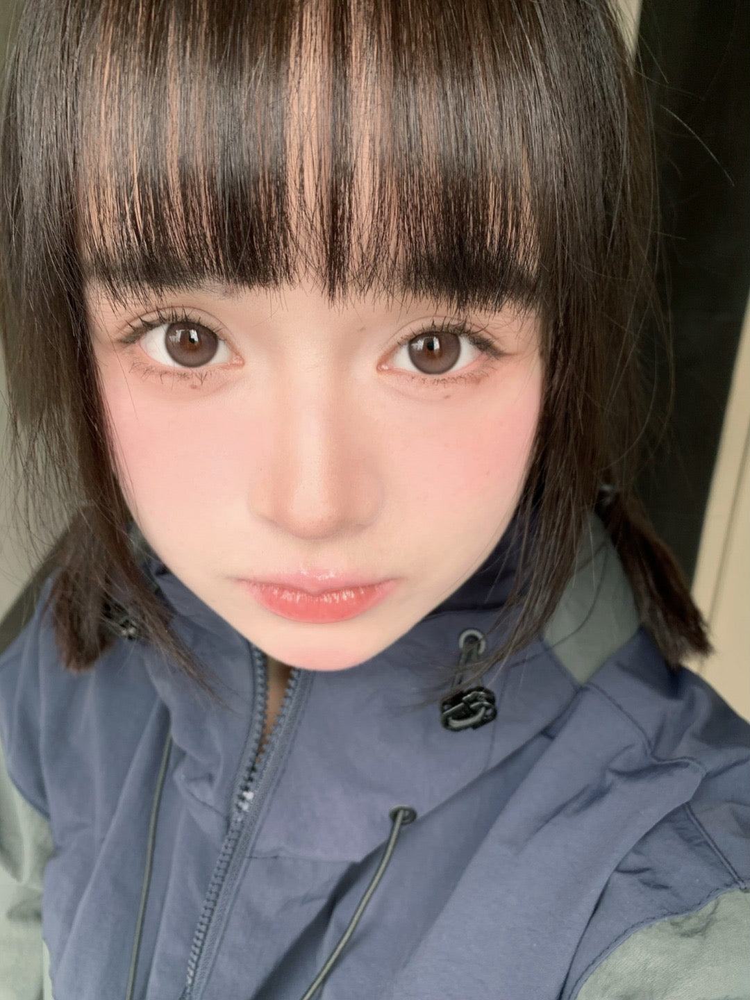 Bariecat CD-21 Brown 燕麥貝果 1 Day 十片裝