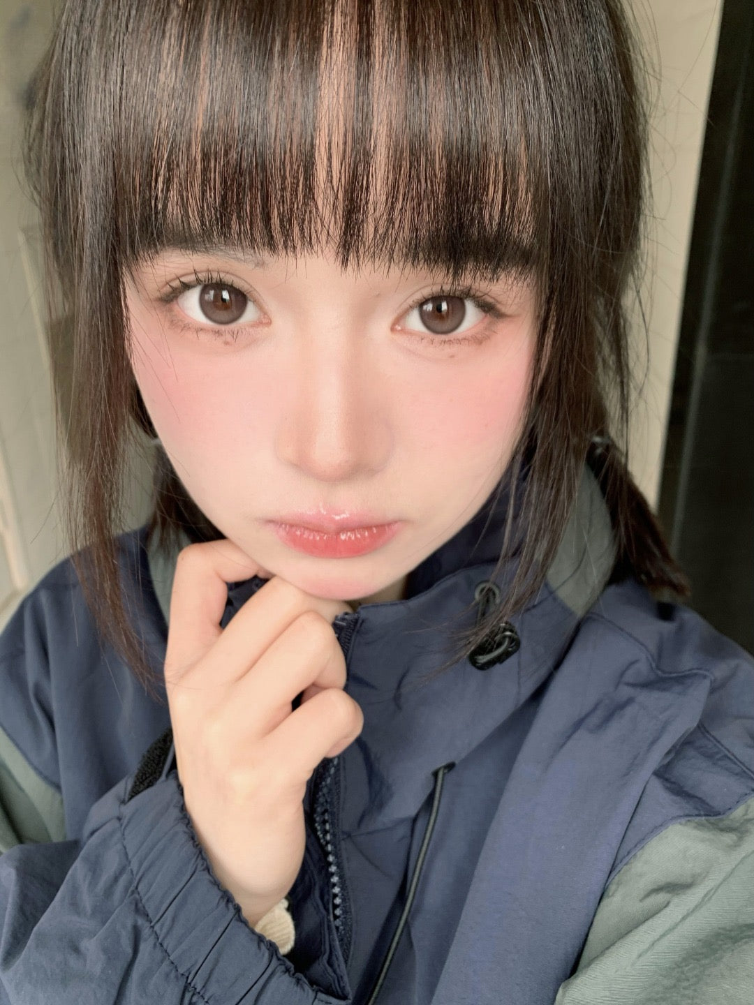 Bariecat CD-21 Brown 燕麥貝果 1 Day 十片裝