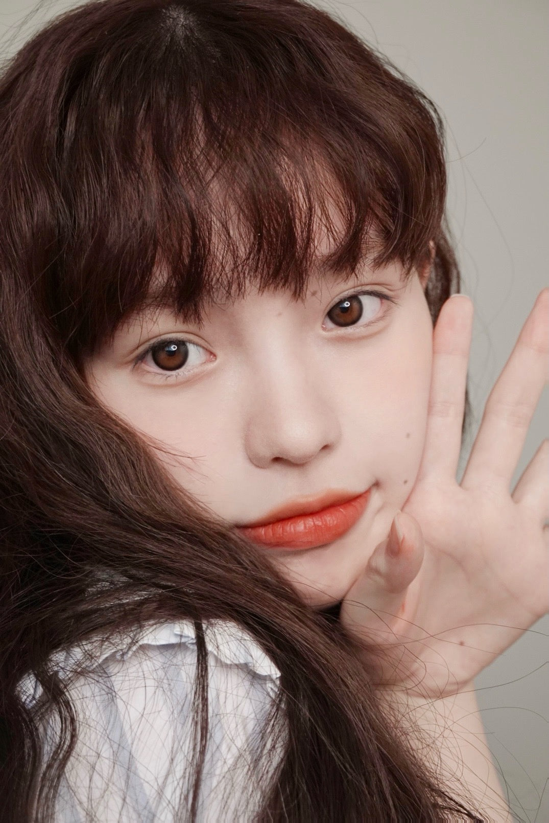 Bariecat CD-09 Gray 日落金桔 1 Day 十片裝