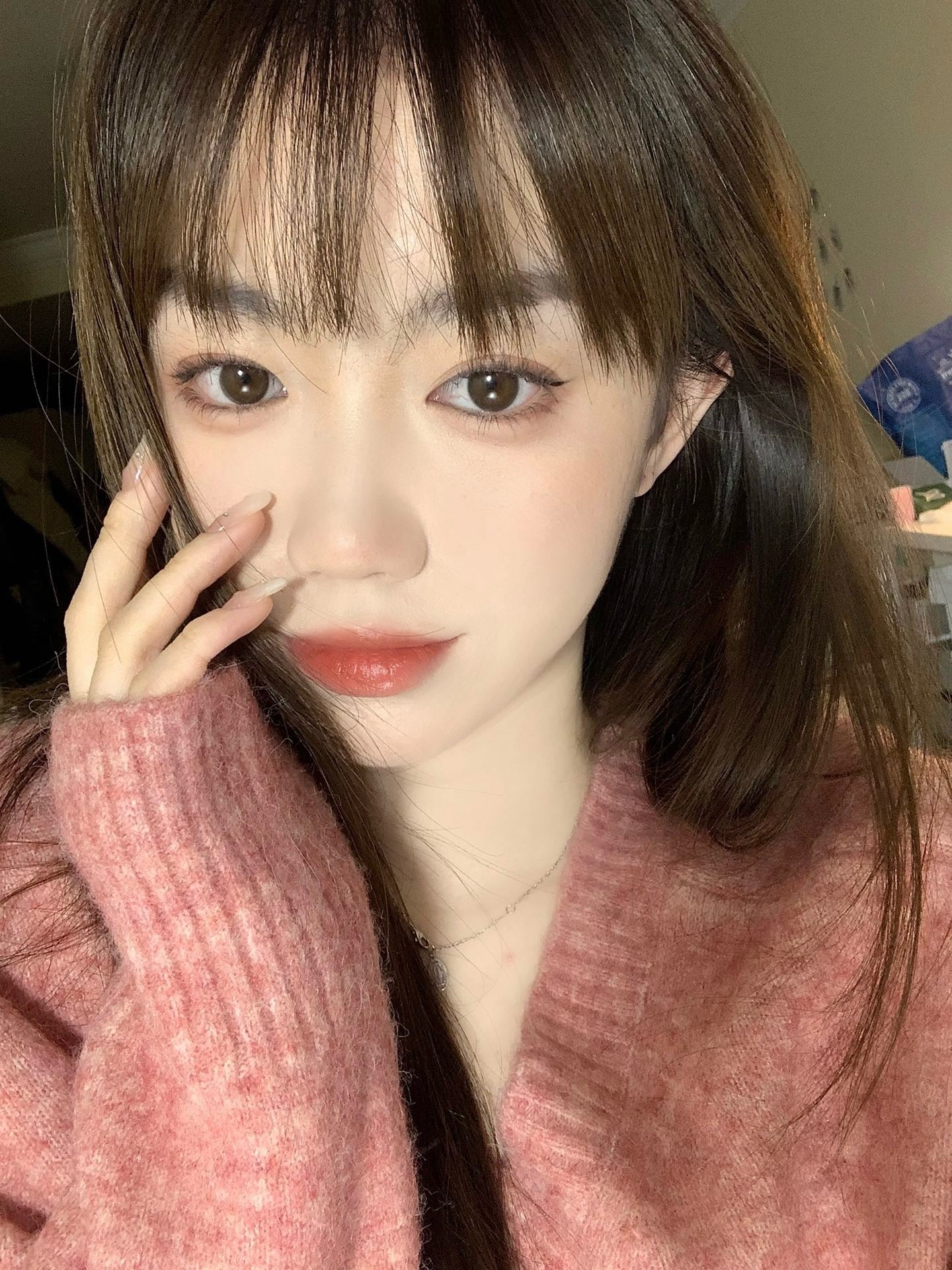 Bariecat CD-06 Brown 咖啡棕 1 Day 十片裝