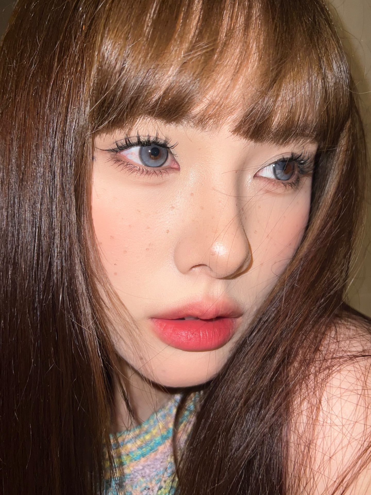 Colorwink Ragdoll 布偶 6-Months 一片裝