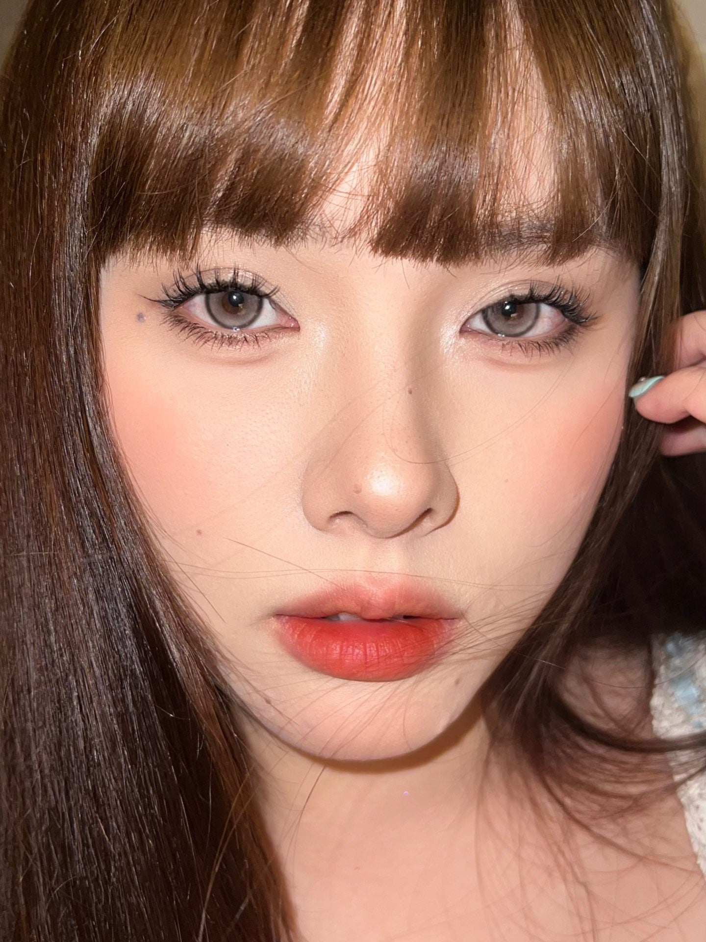 Colorwink Siamese 暹羅 6-Months 一片裝