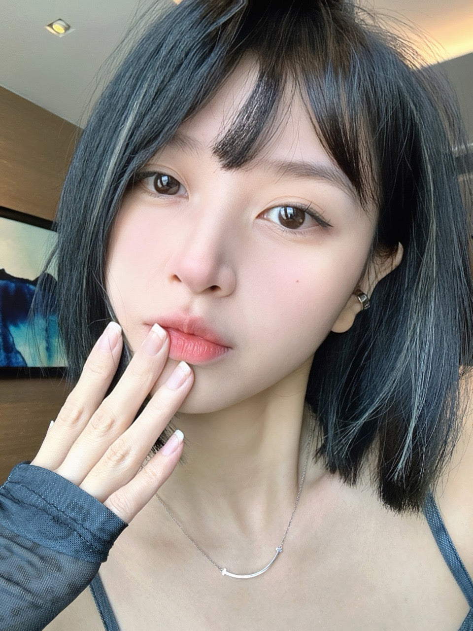 Colorwink Felis Catus 中華田園 6-Months 一片裝