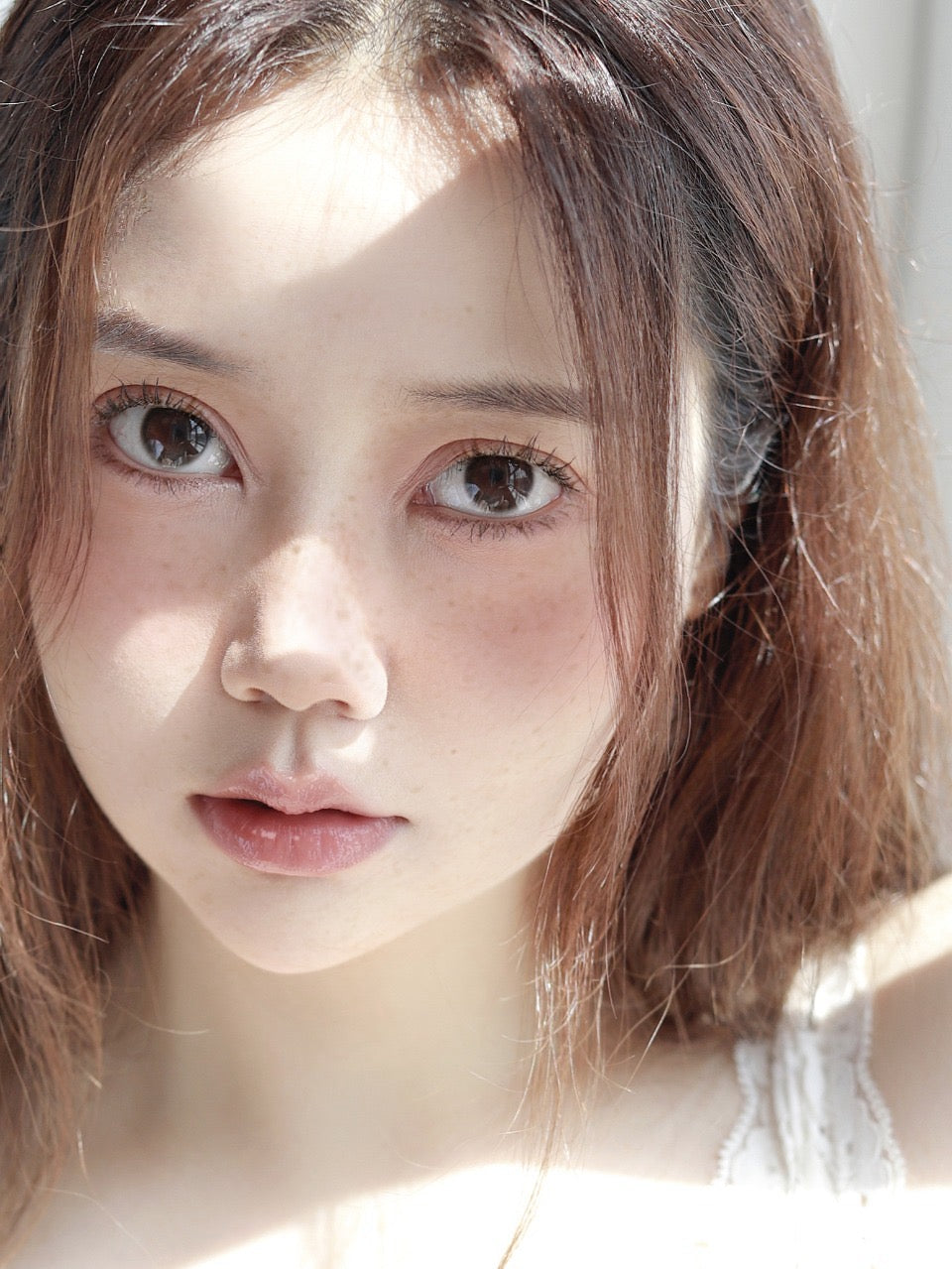 Colorwink Himalayan 喜馬拉雅 6-Months 一片裝