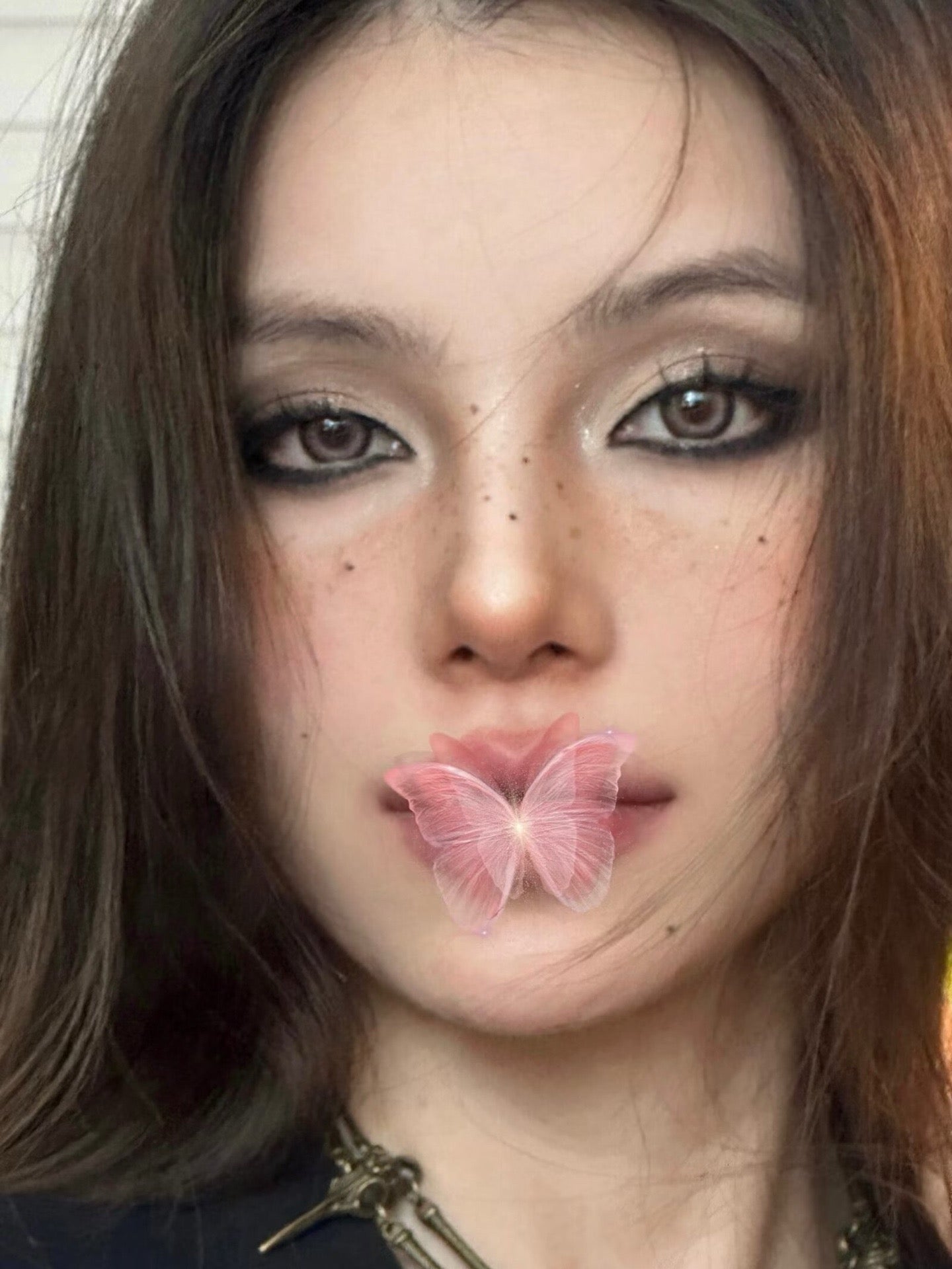 Ginomii Taio Brown 混血爆米花 6-Months 一片裝