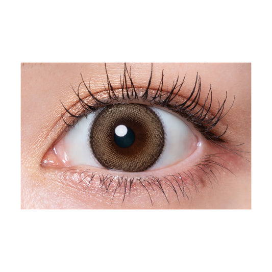 【預購】Quprie Noix Beige 1 Day 十片裝