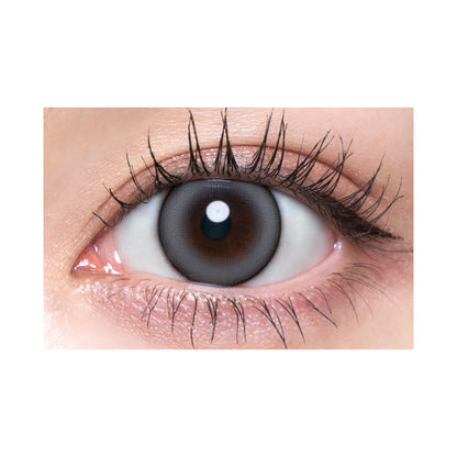 【預購】Quprie Perle Gray 1 Day 十片裝