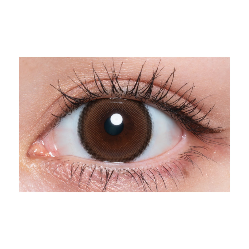 【預購】Quprie Bebe Brun 1 Day 十片裝