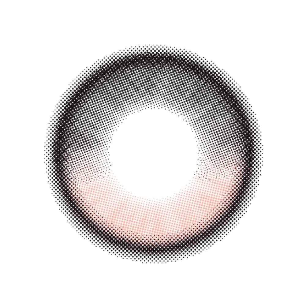 【預購】【固定高光】Quprie Rose Camellia 1 Day 十片裝