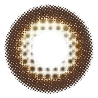 【預購】Primore Pri Dolly Brown 1 Day 十片裝