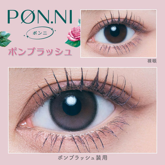 【預購】【固定高光】Refrear Pon.ni Silicone Hydrogel Pon Blush 1 Day 十片裝