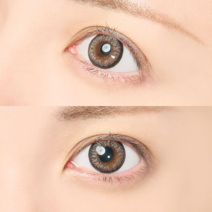 【預購】Miclair Kamatte Gray 1 Day 十片裝