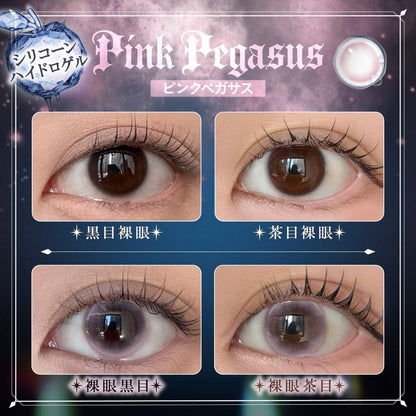 【預購】Phantom Eden Pink Pegasus  1 Day 十片裝