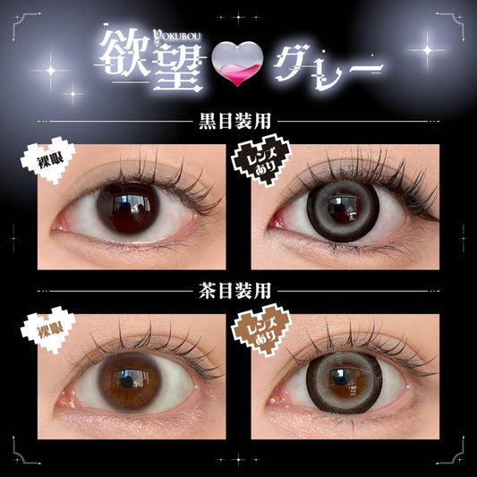 【預購】【固定高光】DUSTITY Yokubou Gray 1 Day 十片裝