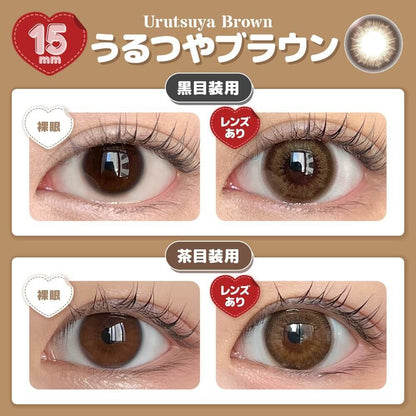 【預購】Honey Drops Urutsuya Brown 1 Day 十片裝