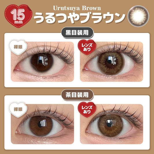 【預購】Honey Drops Urutsuya Brown 1 Day 十片裝