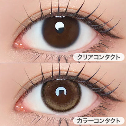 【預購】【固定高光】Refrear Unrolla Lunan Beige 1 Day 十片裝